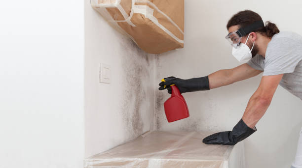 Professional Mold Inspection And Testing technician working in Copiague, NY